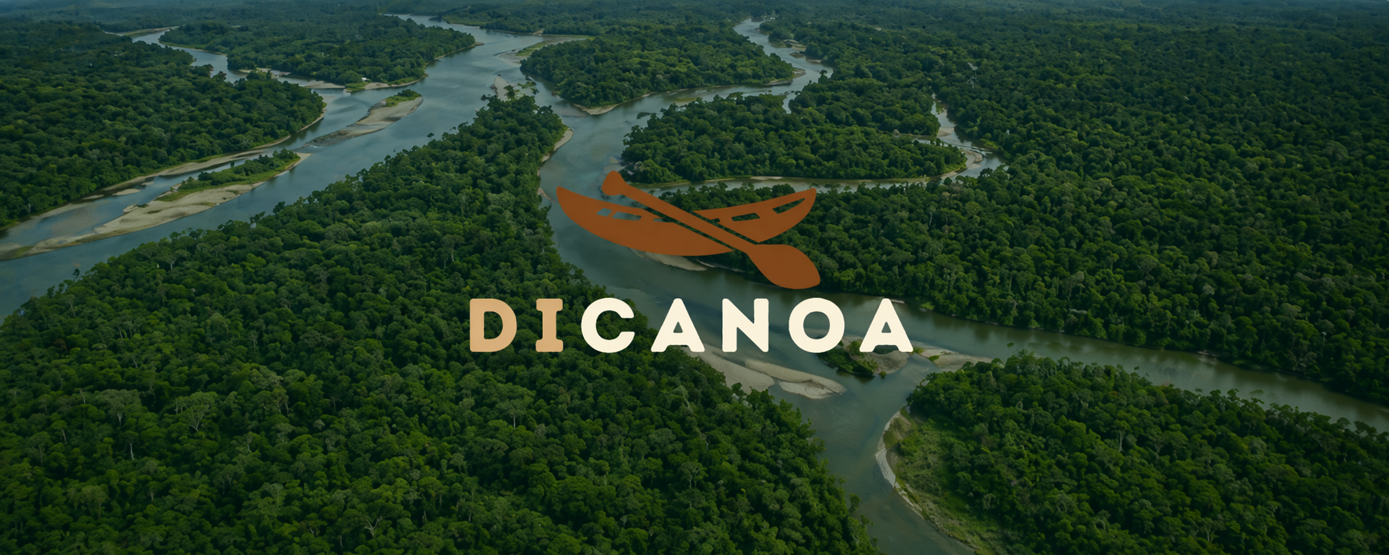 Rio Amazonas visto de cima